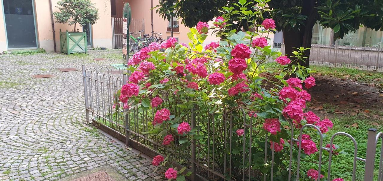 Central Loft Carina Ideale Per Visitare Il Centro Di Torino Εξωτερικό φωτογραφία
